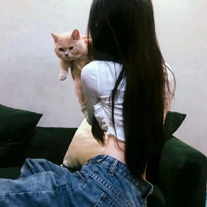 乐队男孩：从何而来